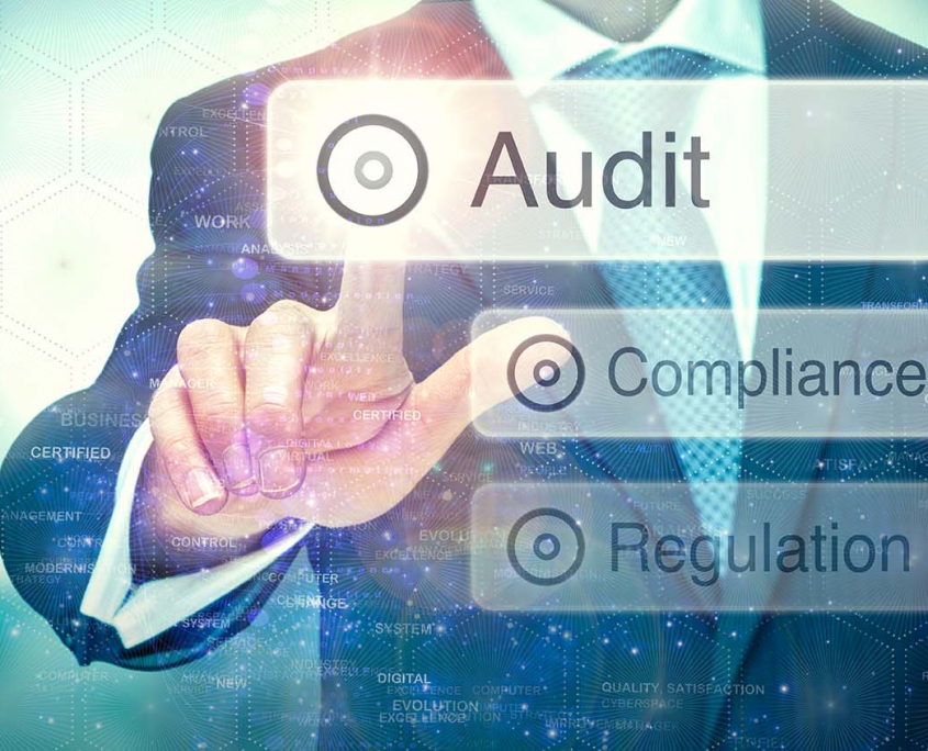 Snare Enterprise Agents for Auditing, Compliance, and Regulation